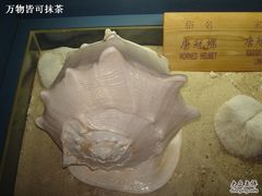 -亚龙湾中心广场·贝壳馆