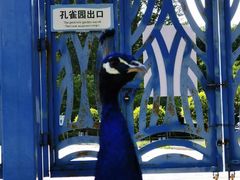 -秦皇岛野生动物园