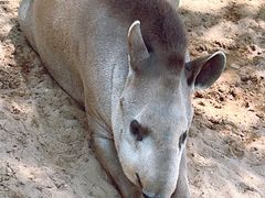 -西霞口神雕山野生动物世界
