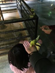 -酷嗒动物文化乐园(cutezoo西溪乐天城店)