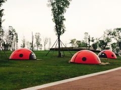 -星巴克(成都科学城店)