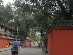 -宫廷糕点铺