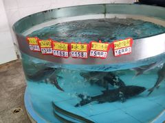 -鲤鱼塘农家山庄