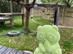 -上海野生动物园