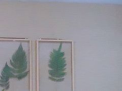 -小泉居(水坑尾店 )