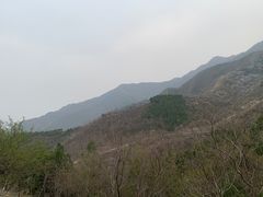 -北京鹫峰国家森林公园