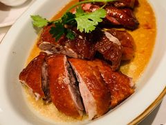 烧味双拼-博多新记·粤菜(复兴店)