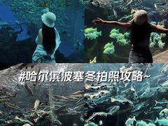 -哈尔滨波塞冬海底世界