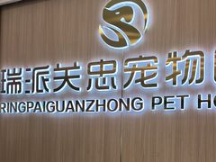 -瑞派·关忠动物医院·猫专科·犬专科(三环新城店)