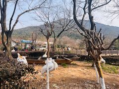 -无锡动物园·太湖欢乐园