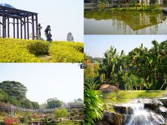 -东莞植物园