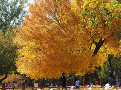 -奥林匹克森林公园北园-停车场