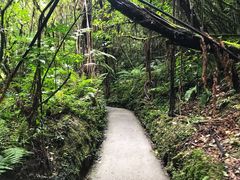 -怀托摩萤火虫洞