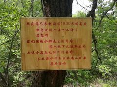 -白草畔自然风景区