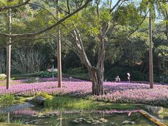 -云溪植物园