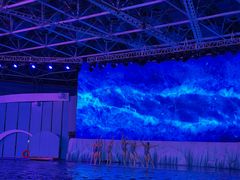 -海合安青岛极地海洋公园