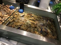 -SEA西雅图海鲜自助餐厅(海乐世界店)