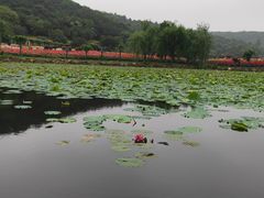 -龙寺生态园