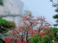 -天柱山风景区