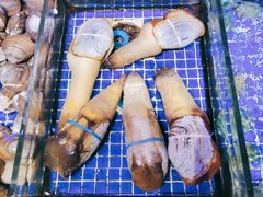 -青蓬蒸汽海鲜·深圳老字号·团建聚会(壹方城店)