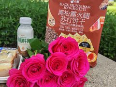 -云溪植物园