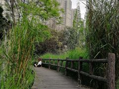 -成都市活水公园