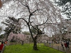 -京都御所