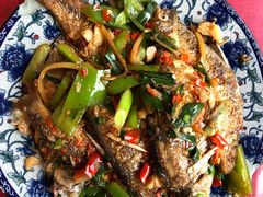 -生态苑农庄(十里画廊遇龙河店)