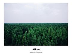 -黄海国家森林公园