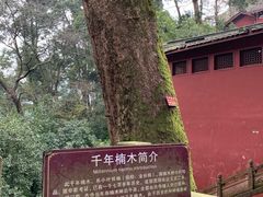 -凤栖山