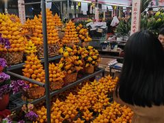 -越秀西湖花市(广州城市广场花卉店)