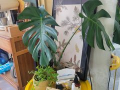 -荟聚西红门购物中心-停车场
