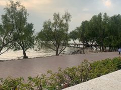 -宝安西湾红树林湿地公园