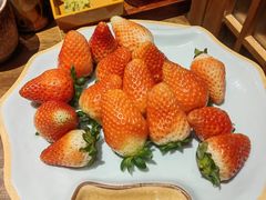 -耕海蟹将军(万象城店)