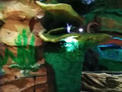 -青岛嘉年华主题乐园