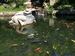 -大连天门山国家森林公园