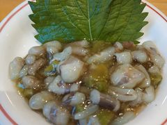 熟芥末章鱼-村上一屋·亚洲菜融合小馆(南楼店)