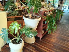 -有序Orderly融合西餐·咖啡(运河外滩店)