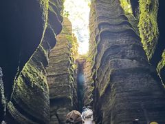 -梭布垭石林景区