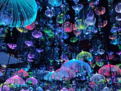 -天津梵高星空艺术馆(天河城旗舰店)