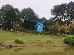 -铁山坪森林公园