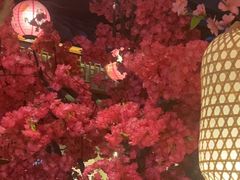 -探花·意境江南菜·唐伯虎文化体验店·松鼠桂鱼(观前店)