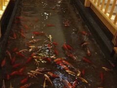 -汉唐水世界温泉洗浴水乐园