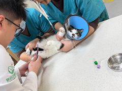 -联合动物医院(光谷诊疗中心)