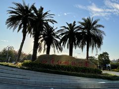 -宝安西湾红树林湿地公园