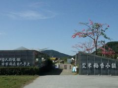 -艾米稻香小镇