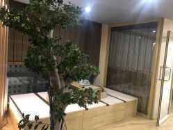 -涂tu指甲日式美甲美睫店