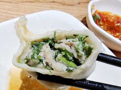 茴香鲜肉饺子-饺子季水饺餐厅(新市街店)