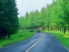 -塞罕坝国家级自然保护区