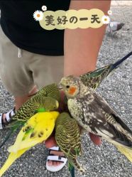 -萌宠亲子动物乐园(槐房万达店)